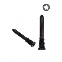 Apple iPhone 12 Pro Max Bottom Screws Graphite (10 Pack)