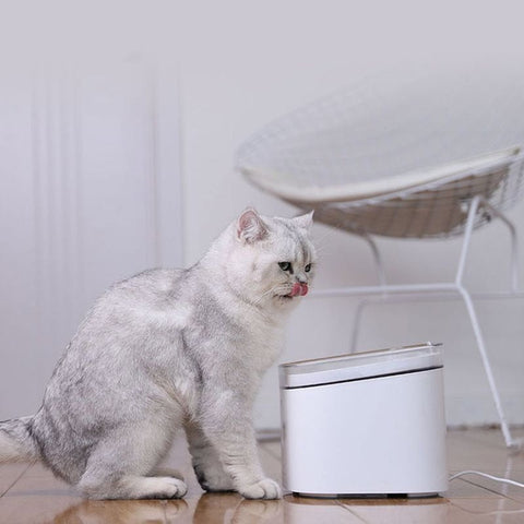 Xiaomi Mi Smart Pet Fountain - White - EU - BHR6161EU