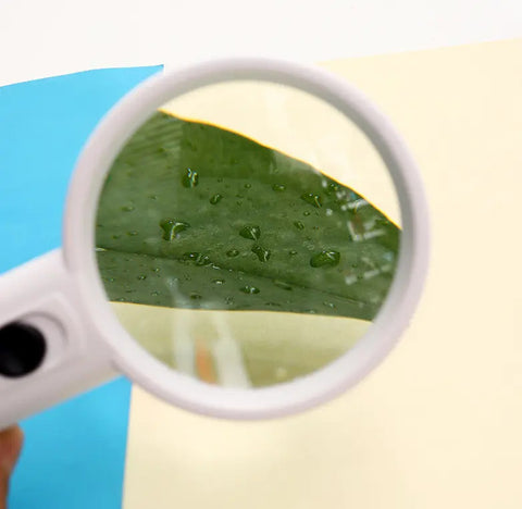 Hand hold Magnifier - MG6B-5 - 75MM - 3x Zoom